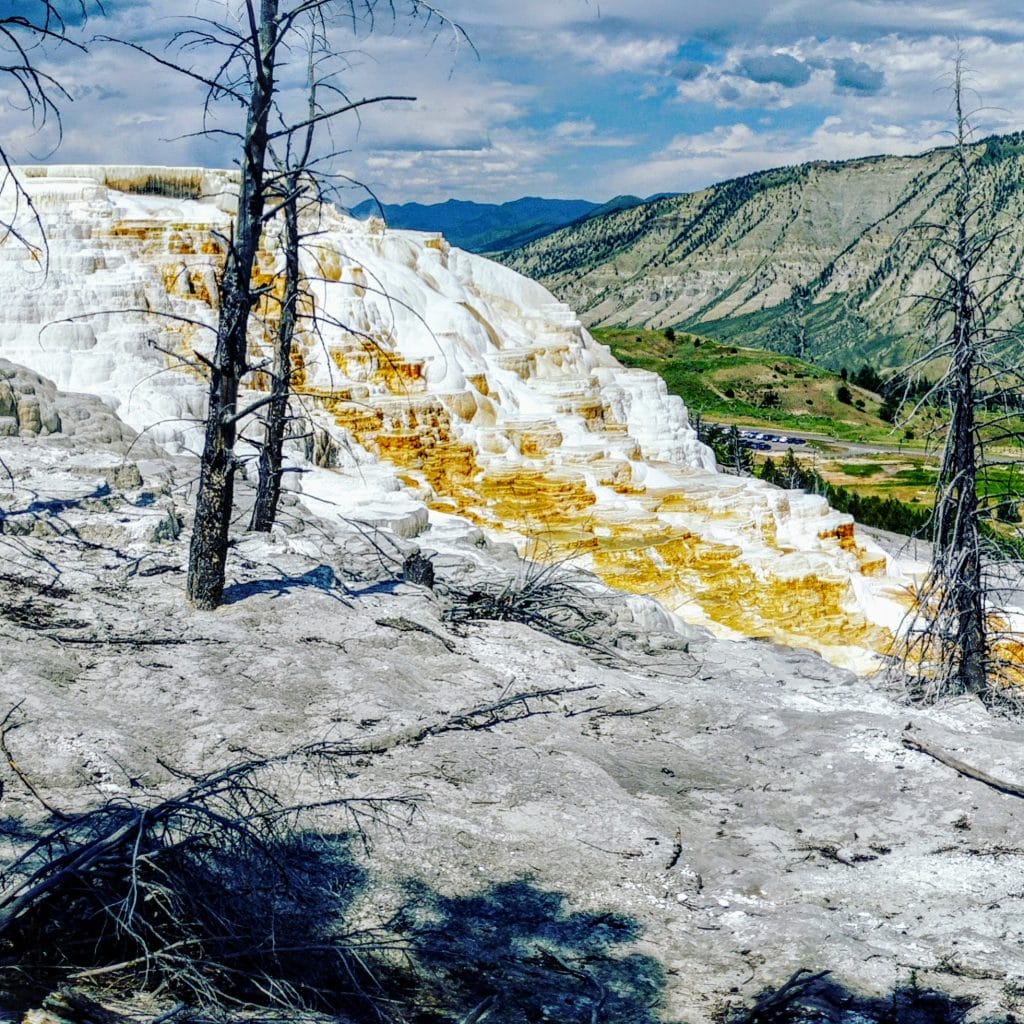 Mammoth Hotsprings with mountain backdrop